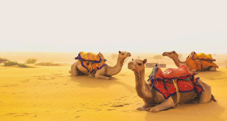 one-day-jaisalmer-local-sightseeing-tour-package-private-cab-header